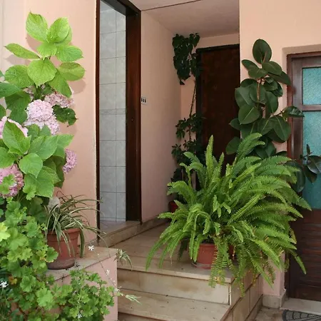 Pensionat Triple Vrboska 4600b